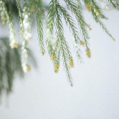 ng体育电子游戏