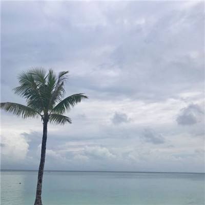 金博宝手机app下载